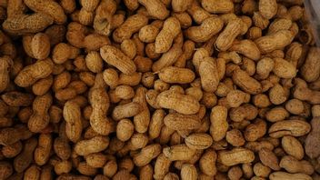 7 Manfaat Kacang Tanah untuk Kecantikan Kulit, Salah Satunya Bisa Melembabkan Wajah