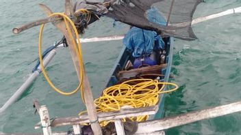  寻找观赏鱼和章鱼， 布勒伦的渔民在水中被杀漂浮