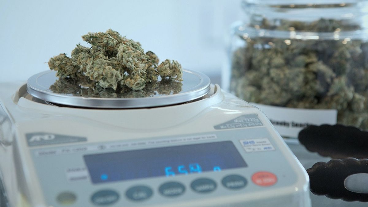 PANDÉMIE COVID-19: La Marijuana Devient Une Entreprise Rentable Aux États-Unis, Attire Des Investisseurs Célèbres