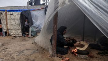 Le président de l'ONU préoccupé par les conditions de Gaza : Je n'ai jamais vu de souffrances comme celle-ci