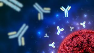 Fakta Mengejutkan di Balik Angka Jumlah Kromosom Manusia yang Jarang Diketahui