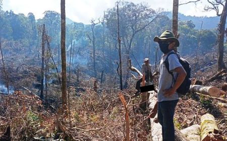 Rusak dan Bakar 9,2 Hektare Hutan Suaka Margasatwa Barisan di Solok Sumbar, AY Diancam Pidana 10 Tahun Denda Rp5 Miliar