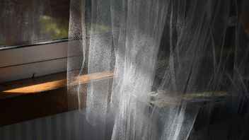 Tekan Angka Kasus Malaria, Pemkab Jayapura Bagikan 124.640 Kelambu 