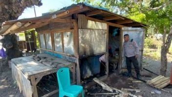 Buru Police The Perpetrators Of The Burning Of Kiosks And Beatings In Alor NTT
