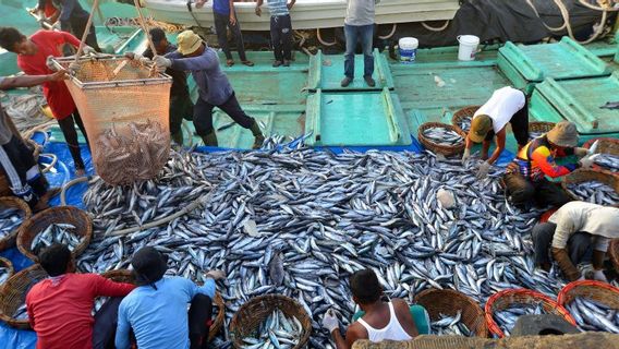Assessed Still Sloping, Sri Mulyani Asks Fisheries Non-Tax Revenues To Be Optimized: We Are A Maritime Country, Big Potential