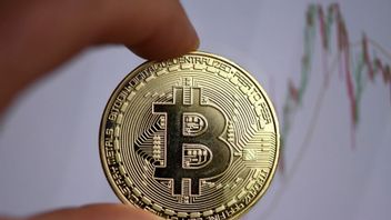 Jaksa di Jerman Sita Bitcoin Milik Penipu <i>Online</i>