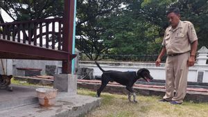 Teror Anjing Galak Resahkan Warga di Banyuwangi, Damkar Turun Tangan Setelah Ada Korban Digigit hingga Alami Robek Tumit