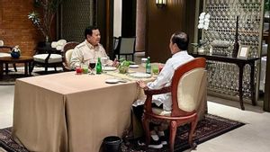   Soliditas Prabowo dan Jokowi Jadi Tantangan Tersendiri Usai KIM Kuasai Daerah Kunci di Jawa