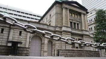 Japanese Exports of Dongkrak Surplus Cip to Record High