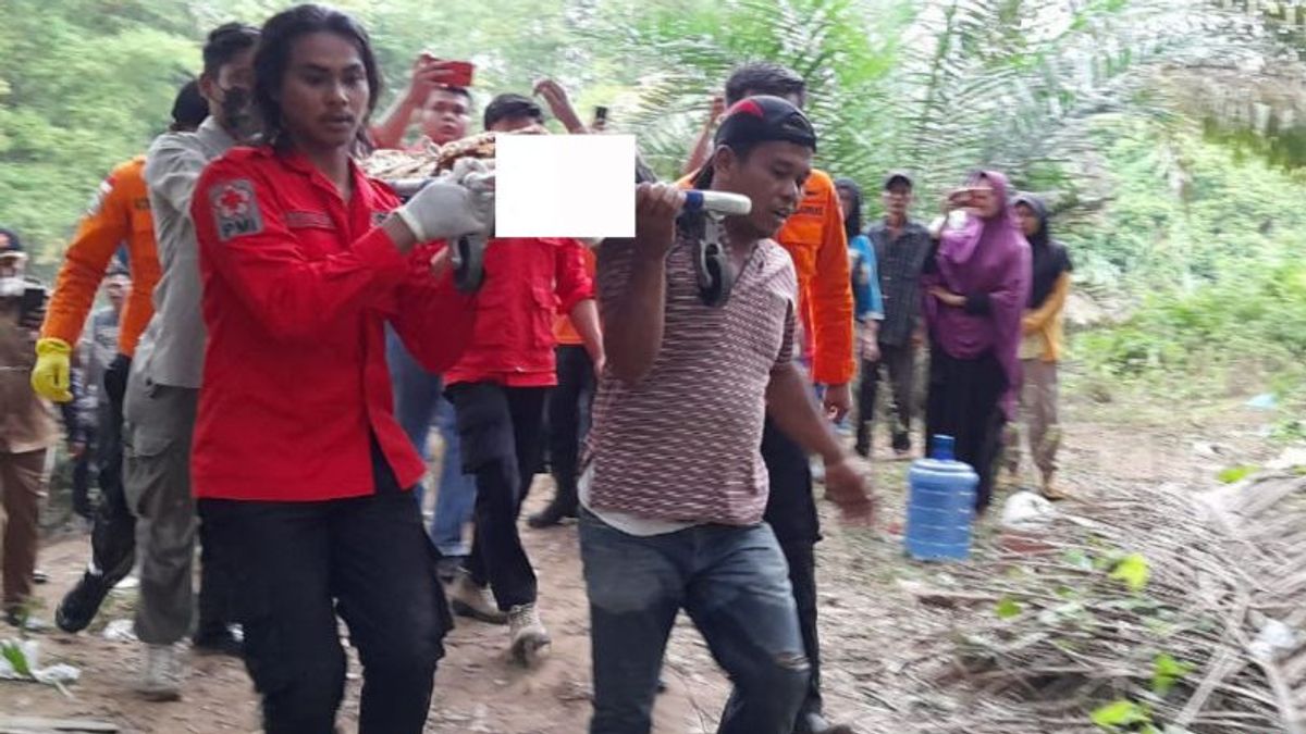 Elementary School Students In Agam West Sumatra Still Bitten By Estuary Crocodile During Evacuation, Hysterical Family Welcomes Body