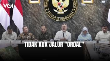 Zulkifli Hasan: There is no 