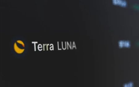 Gile! Harga Kripto Terra (LUNA) Tembus ATH Baru