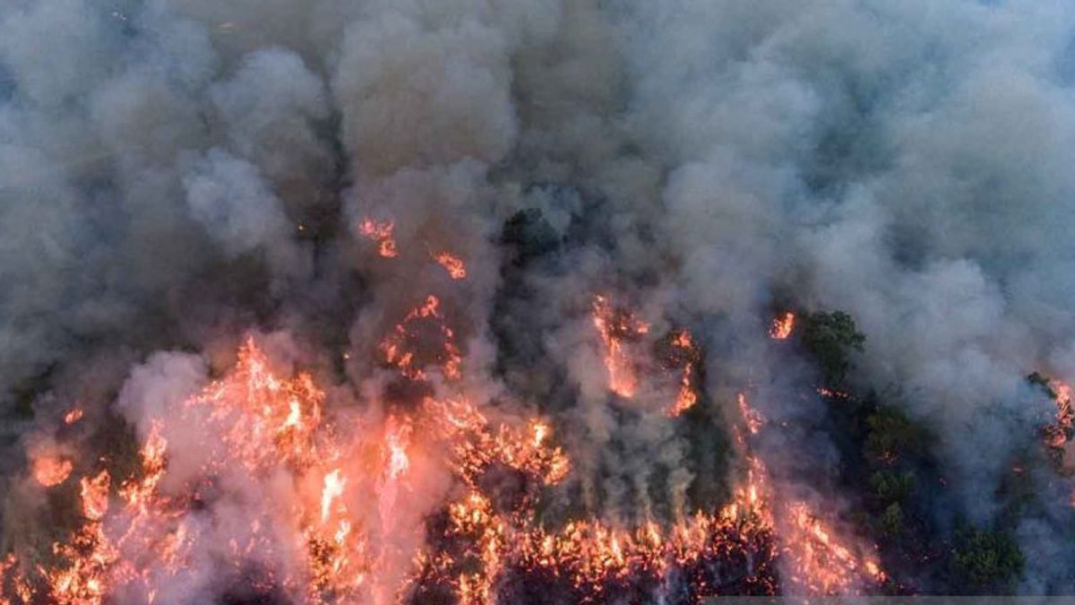 Karhutla in South Sumatra OKI Pedamaran Successfully Defused with Water Bombs