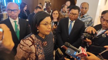 Sri Mulyani Ungkap Sejumlah Permasalahan Negara Berkembang