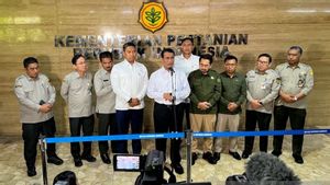 Perketat Pengawasan Saat Natal-Tahun Baru 2026, Mentan Pastikan Tindak Penjual Pangan di Atas HET