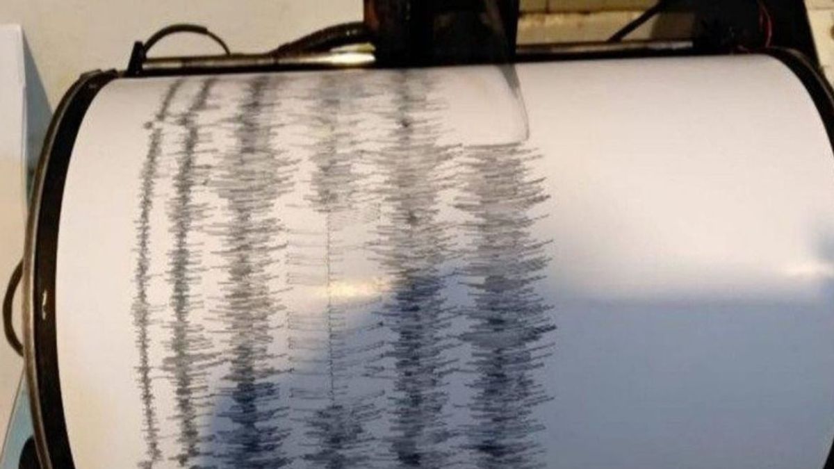 Bali Earthquake, Vibrations Felt In Denpasar To Klungkung