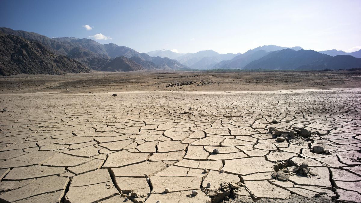 96 People Killed and Hundreds More Hospitalized Due to Heat Wave in India