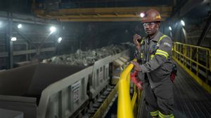Jelang Kuasai 61 Persen Saham Freeport, Pemerintah Minta PTFI Bangun Smelter di Timika