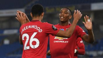 Lukaku: Manchester United Tak Usah Beli Striker, Martial-Greenwood Sudah Klop