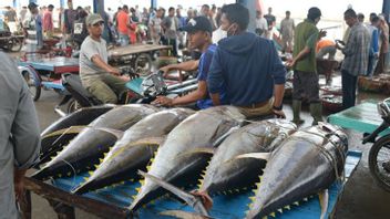 9月第一周对日本的金枪鱼比亚克出口量达到5.3吨