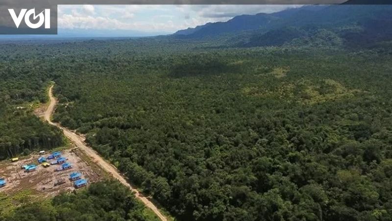 “Discover Papua: Unveiling the Unique Profile and Key Insights of This Enigmatic Region”