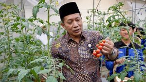 Kopontren Al-Ittifaq Jadi Percontohan Ekosistem Kopdes Merah Putih