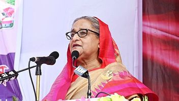 'Save Yourself' From Bangladesh, Former PM Hasina Is In India For A While