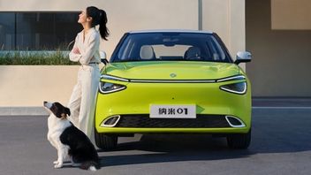 正式に発売, 安い電気自動車の知人東風ナムミ01セハルガRp163百万