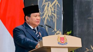 Presiden Prabowo Bakal Lakukan Diplomasi Haji 2026 dengan Arab Saudi