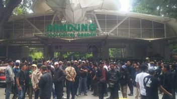 Massa Berkumpul di Kebun Binatang Bandung Tolak Penyegelan