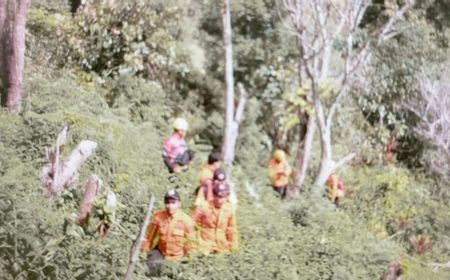 Warga Agam Hilang usai Pamit Masuk Hutan Tembak Burung, 80 Anggota SAR Lakukan Pencarian