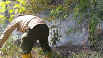 3営業日、チレマイ山の約100ヘクタールの土地を焼いた火は無事に消火されました