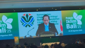 وزير البيئة والغابات: الجليد في قمة كارتنز سينفد في عام 2026
