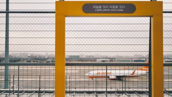 Almost All Victims Died In Jeju Air Accident Identified