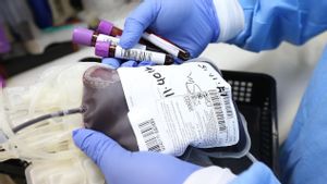 Tak Hanya Langka, Ini 7 Kelemahan Golongan Darah B Positif yang Jarang Diketahui 