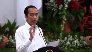 Jokowi Minta Birokrasi Tak Berbelit-belit dengan Tumpukan Kertas