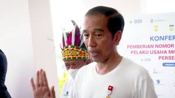 Perintah Tegas Jokowi ke Panglima TNI: Usut Tuntas Kasus 6 Prajurit Mutilasi Warga Mimika