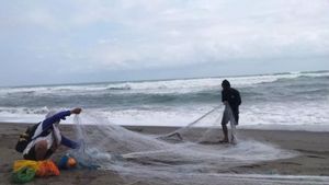 5 Alat Pendeteksi Tsunami di Laut Selatan Cianjur Rusak