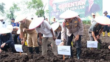 Dukung Program Tanam Jagung Sejuta Hektare, Polda Kaltara Siapkan Lahan 9.200 Hektare