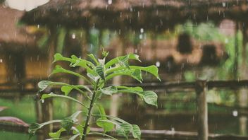 Ramalan Cuaca Hari ini di Bali: Denpasar Cerah Cerawan, Amlapura Hujan Petir 