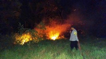 Joint Team Successfully Extinguishes 3 Forest Fires in Penajam and Babulu, East Kalimantan