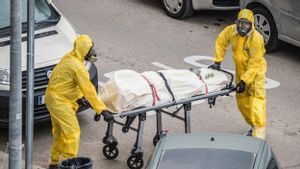Jepang Catat Kasus Kematian Pertama Akibat Virus Oz di Dunia, Diduga Karena Kutu