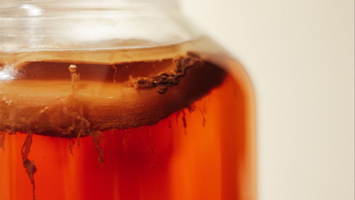 5 Benefits Of Kombucha Tea, Fermentation Drinks That Feel Sweet