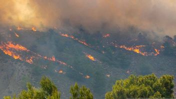 Kemenlu Pastikan Tidak Ada WNI Meninggal Akibat Kebakaran Hebat di Yunani