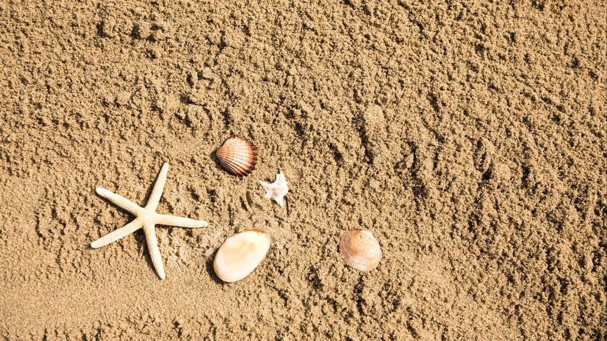 Différemment entre sédiments et sable de mer, ce qui est difficile pour les gens de voir