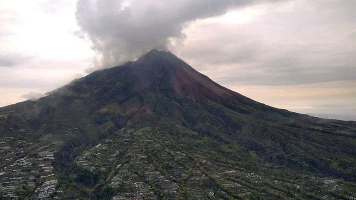 默拉皮火山发射6倍热云，落差达到1，500米