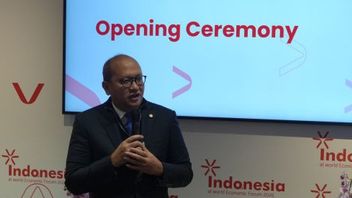 Ministre Rosan: La participation de la RI au WEF Davos renforce la compétitivité mondiale