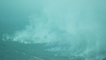 OKI南苏门答腊森林和陆地火灾引起的烟雾区大幅下降