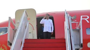 Mardi après-midi, Jokowi s’est rendu à Abou Dhabi pour avoir des investissements IKN avec PEA