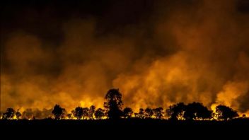 As A Result Of Smoked Fog, Schools In Banjarmasin Implement Distance Learning